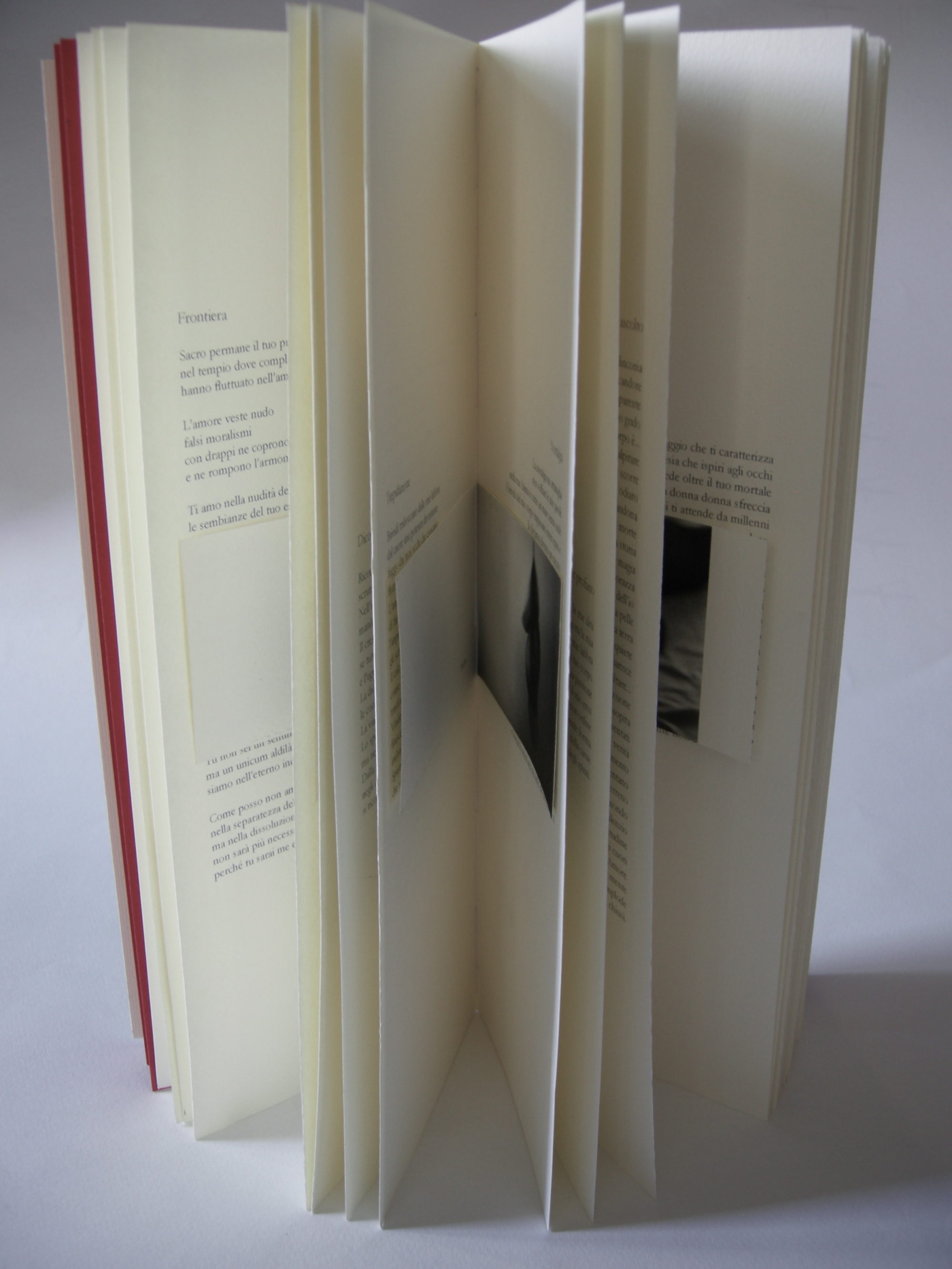 Il viandante – Lidia Bianco