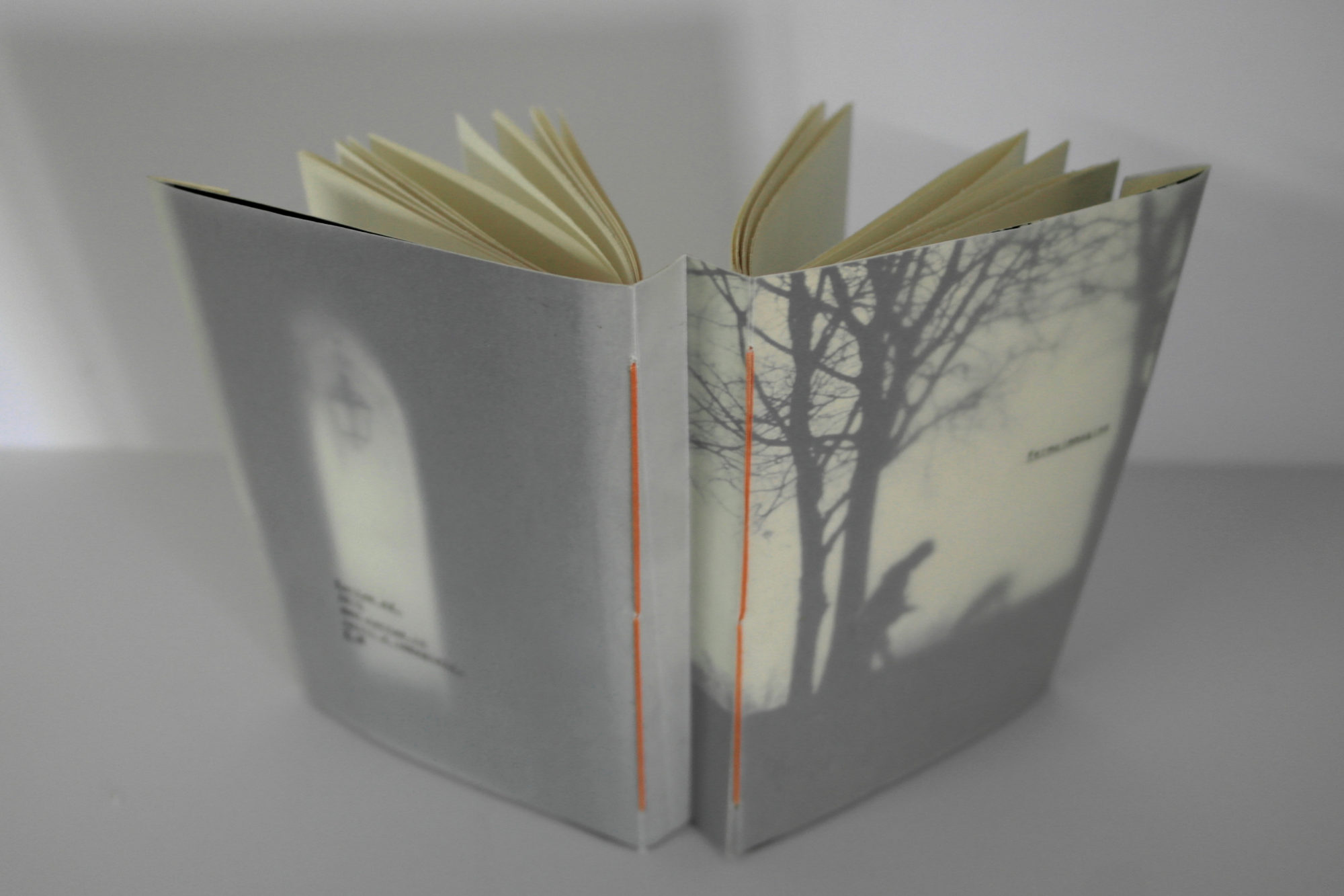 libro di poesie